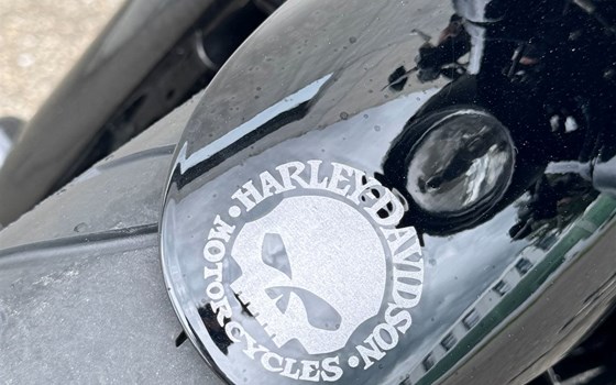 Offerta Harley-Davidson Night Rod Special VRSCDX - Immagine 7