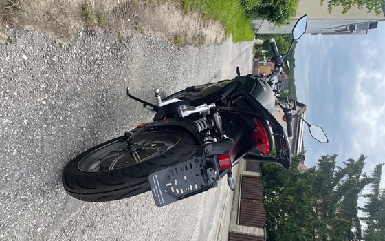 Gebrauchtmotorrad Super Soco TSX Eco 45 km/h - Bild 3