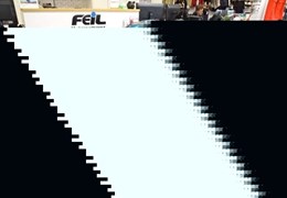 Gebrauchte BMW F 900 R