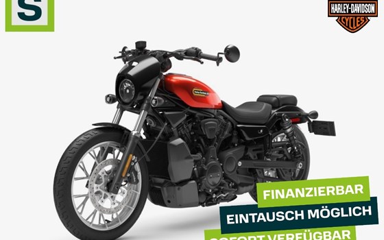 Gebrauchtmotorrad Harley-Davidson Nightster Special - Bild 1
