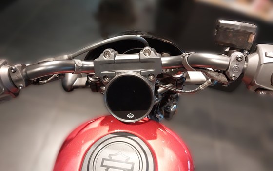 Gebrauchtmotorrad Harley-Davidson Nightster Special - Bild 12