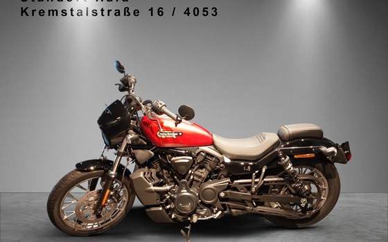 Gebrauchtmotorrad Harley-Davidson Nightster Special - Bild 2