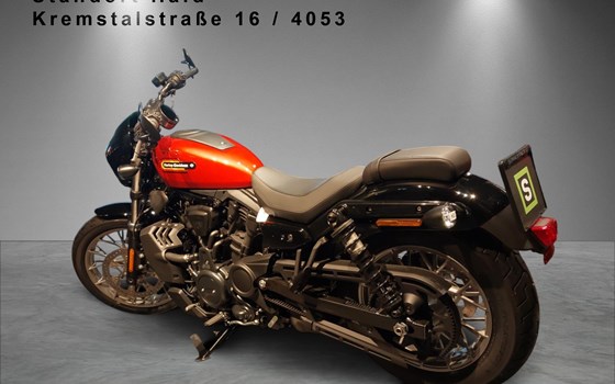 Gebrauchtmotorrad Harley-Davidson Nightster Special - Bild 3