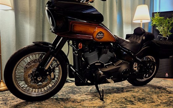 Motorrad Occasion Harley-Davidson Softail Low Rider ST - Bild 2