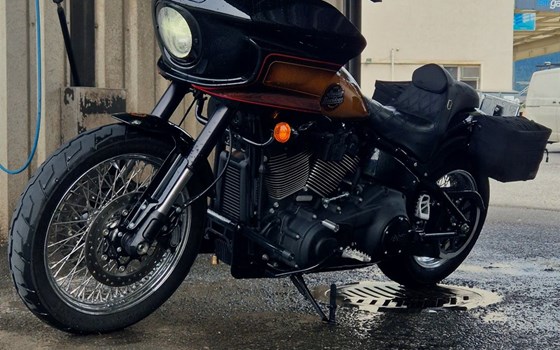 Motorrad Occasion Harley-Davidson Softail Low Rider ST - Bild 5