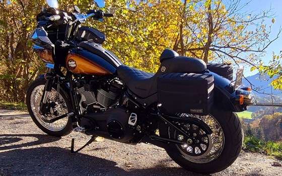 Motorrad Occasion Harley-Davidson Softail Low Rider ST - Bild 7