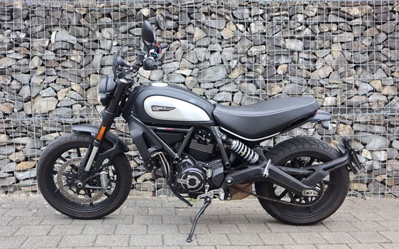 Motorrad Occasion Ducati Scrambler Icon Dark - Bild 6