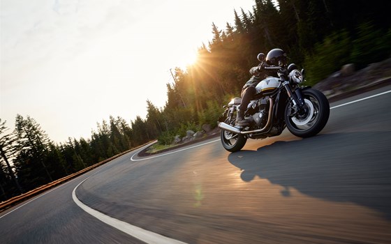 Neufahrzeug Triumph Speed Twin 1200 - Bild 11