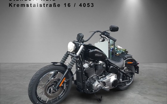 Gebrauchtmotorrad Harley-Davidson Street Bob 117 - Bild 1 Gebrauchtmotorrad Harley-Davidson Street Bob 117 - Bild 1