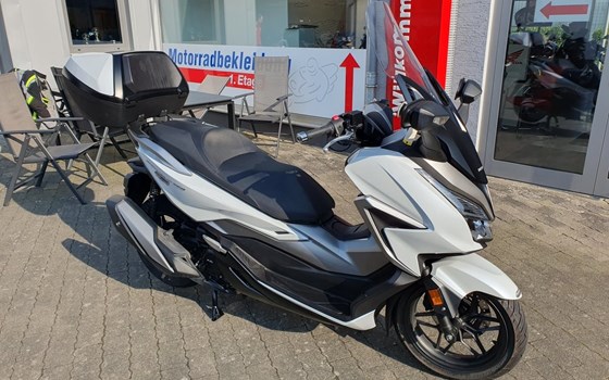 Gebrauchtmotorrad Honda Forza 350 - Bild 10