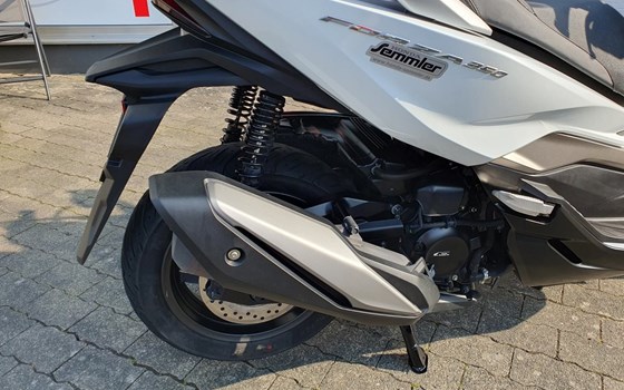 Gebrauchtmotorrad Honda Forza 350 - Bild 3
