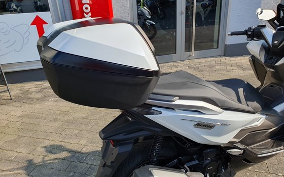 Gebrauchtmotorrad Honda Forza 350 - Bild 4