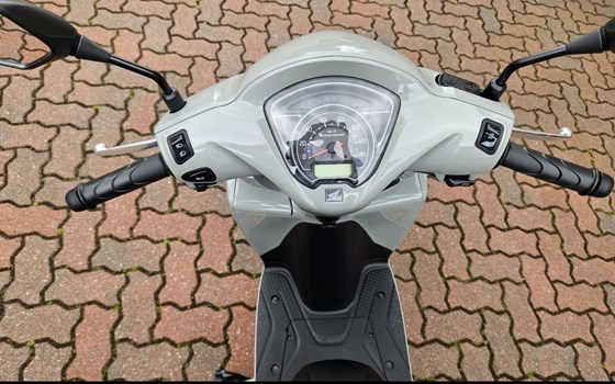 Neufahrzeug Honda Vision 110 - Bild 8