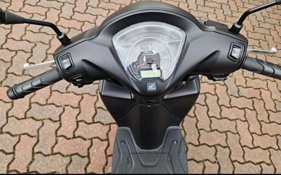 Neufahrzeug Honda Vision 110 - Bild 6