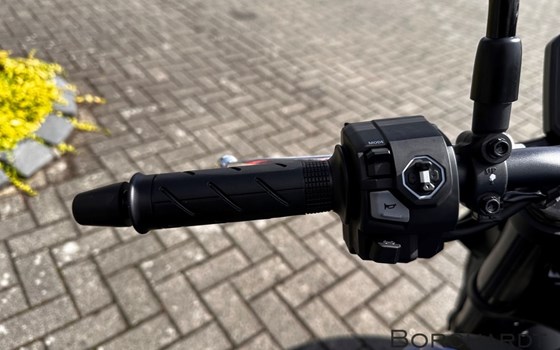 Neufahrzeug Honda CB750 Hornet - Bild 12