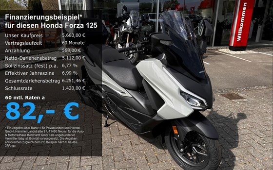 Neufahrzeug Honda Forza 125 - Bild 1