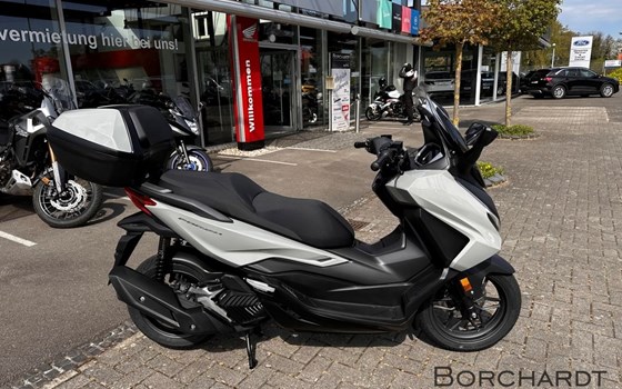 Neufahrzeug Honda Forza 125 - Bild 2