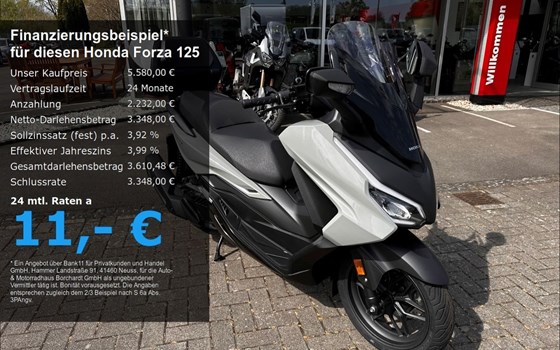 Neufahrzeug Honda Forza 125 - Bild 1