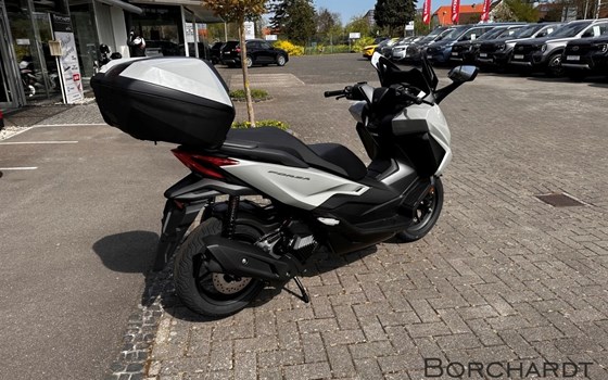 Neufahrzeug Honda Forza 125 - Bild 3