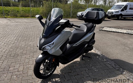 Neufahrzeug Honda Forza 125 - Bild 7