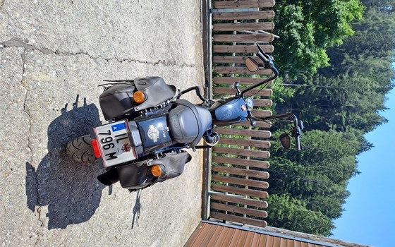 Gebrauchtmotorrad Harley-Davidson Sportster XL 1200X Forty-Eight - Bild 4