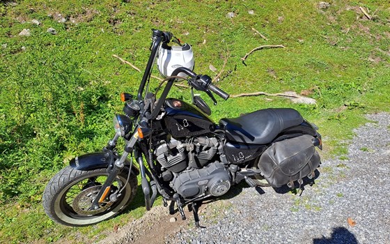 Gebrauchtmotorrad Harley-Davidson Sportster XL 1200X Forty-Eight - Bild 7