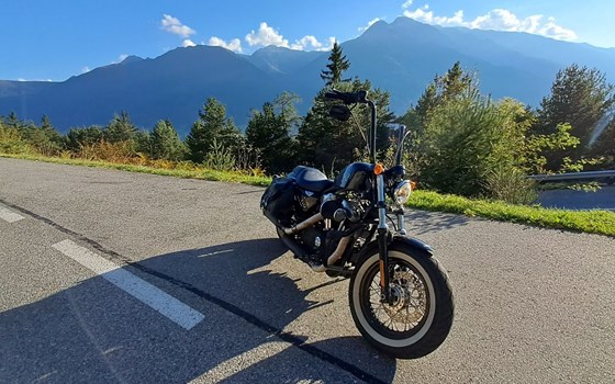 Gebrauchtmotorrad Harley-Davidson Sportster XL 1200X Forty-Eight - Bild 8