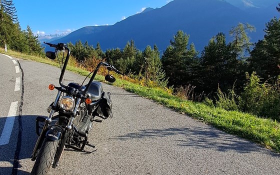 Gebrauchtmotorrad Harley-Davidson Sportster XL 1200X Forty-Eight - Bild 9