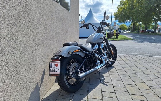 Neufahrzeug Harley-Davidson Street Bob 117 - Bild 4