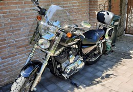 Gebrauchte Harley-Davidson Sportster XL 1200C Custom