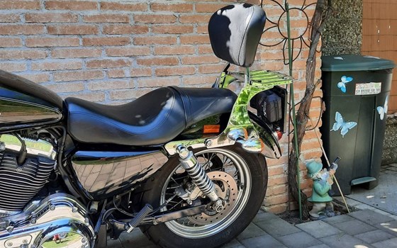 Gebrauchtmotorrad Harley-Davidson Sportster XL 1200C Custom - Bild 11