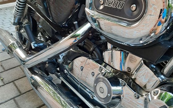 Gebrauchtmotorrad Harley-Davidson Sportster XL 1200C Custom - Bild 5 Gebrauchtmotorrad Harley-Davidson Sportster XL 1200C Custom - Bild 5