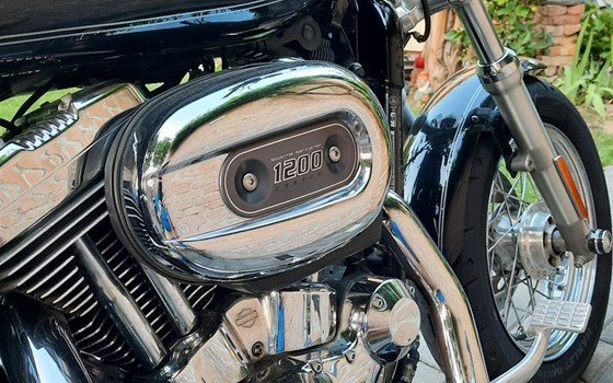 Gebrauchtmotorrad Harley-Davidson Sportster XL 1200C Custom - Bild 8