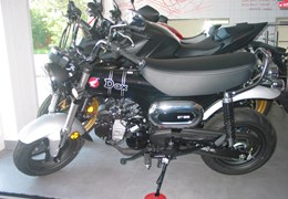 Neumotorrad Honda Dax 125