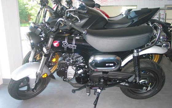 Neufahrzeug Honda Dax 125 - Bild 1