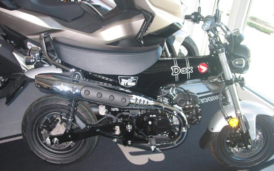 Neufahrzeug Honda Dax 125 - Bild 3