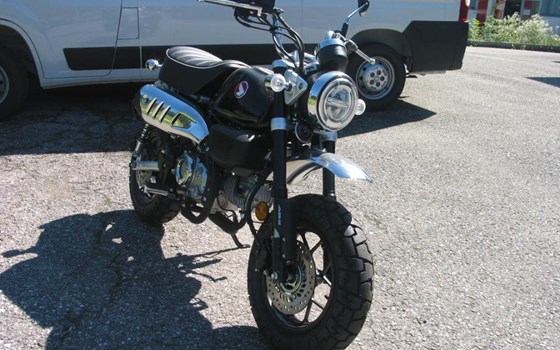 Neufahrzeug Honda Monkey 125 - Bild 2