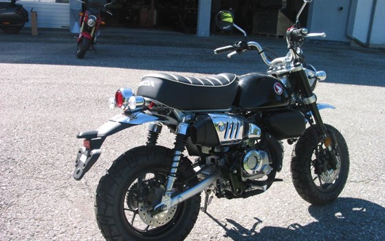 Neufahrzeug Honda Monkey 125 - Bild 5