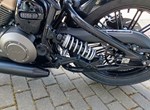 Angebot Benda Napoleonbob 250
