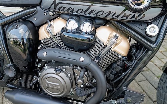 Neufahrzeug Benda Napoleonbob 250 - Bild 5