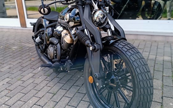 Neufahrzeug Benda Napoleonbob 250 - Bild 3