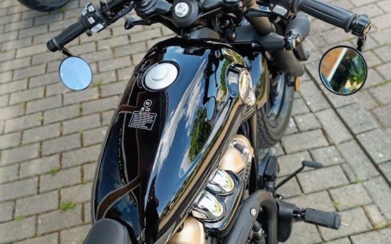 Neufahrzeug Benda Napoleonbob 250 - Bild 6