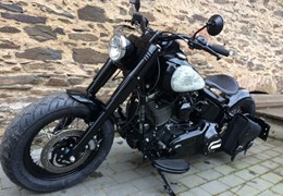 Gebrauchte Harley-Davidson Softail Heritage Springer FLSTS