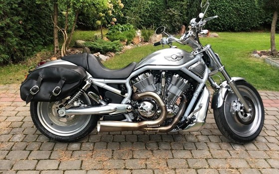 Gebrauchtmotorrad Harley-Davidson V-Rod 10th Anniversary Edition VRSCDX ANV - Bild 1