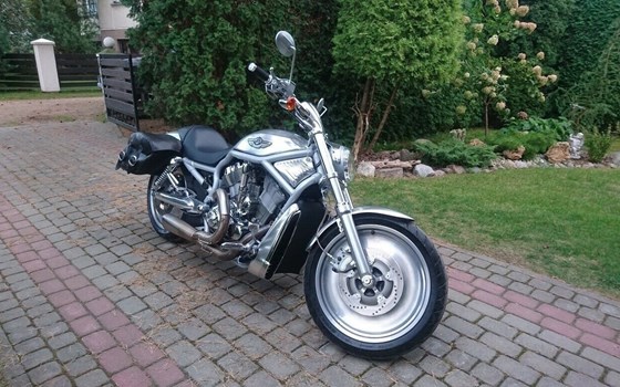 Gebrauchtmotorrad Harley-Davidson V-Rod 10th Anniversary Edition VRSCDX ANV - Bild 4