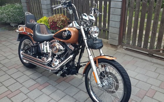 Gebrauchtmotorrad Harley-Davidson FXST/F - Bild 1