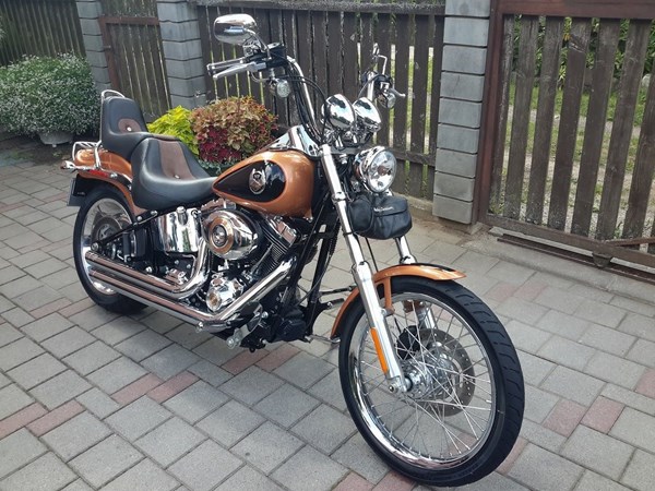Gebrauchtmotorrad Harley-Davidson FXST/F