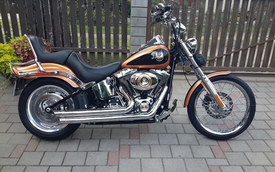 Gebrauchtmotorrad Harley-Davidson FXST/F - Bild 2