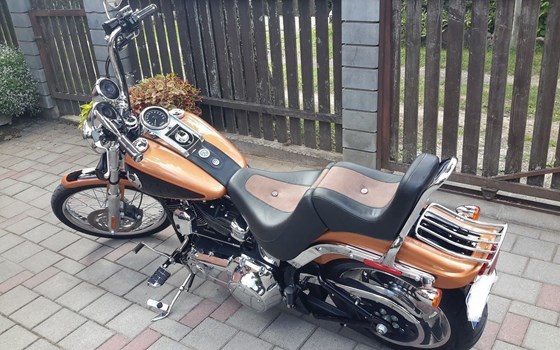 Gebrauchtmotorrad Harley-Davidson FXST/F - Bild 3