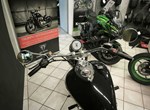 Angebot Triumph America